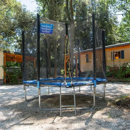 Mobile - Kamp Olga Holiday park Banjole