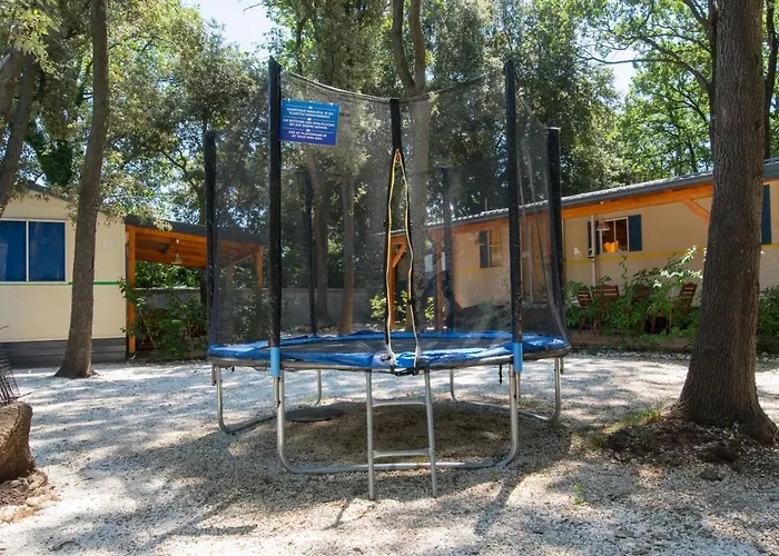 Mobile - Kamp Olga Park za odmor Banjole